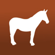 Mule