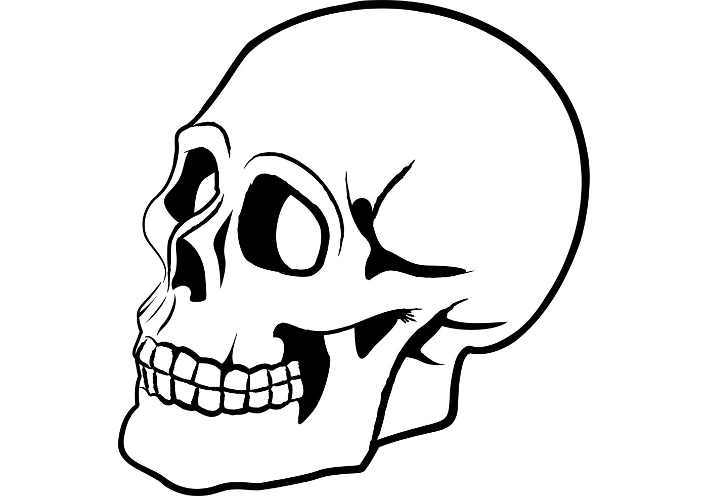 skull clipart free download - photo #33