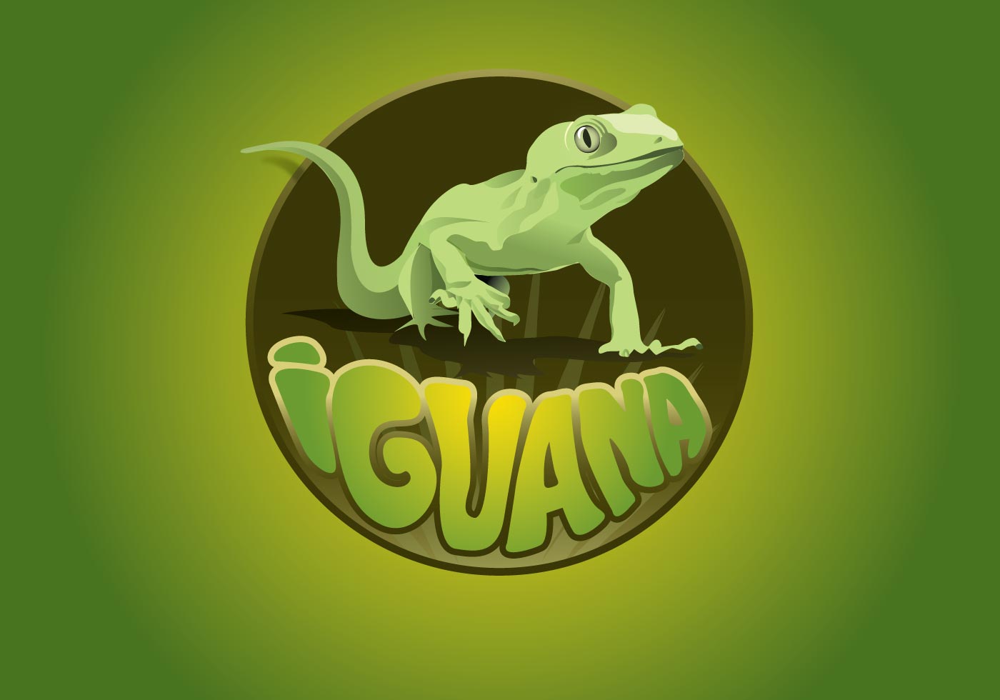 iguana vector