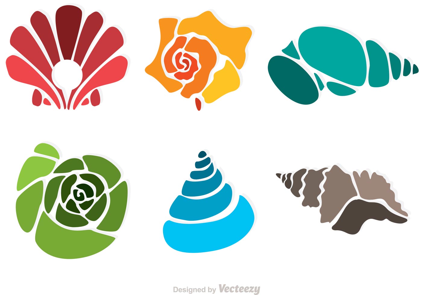 Colorful Sea Shell Vectors Download Free Vector Art, Stock Graphics