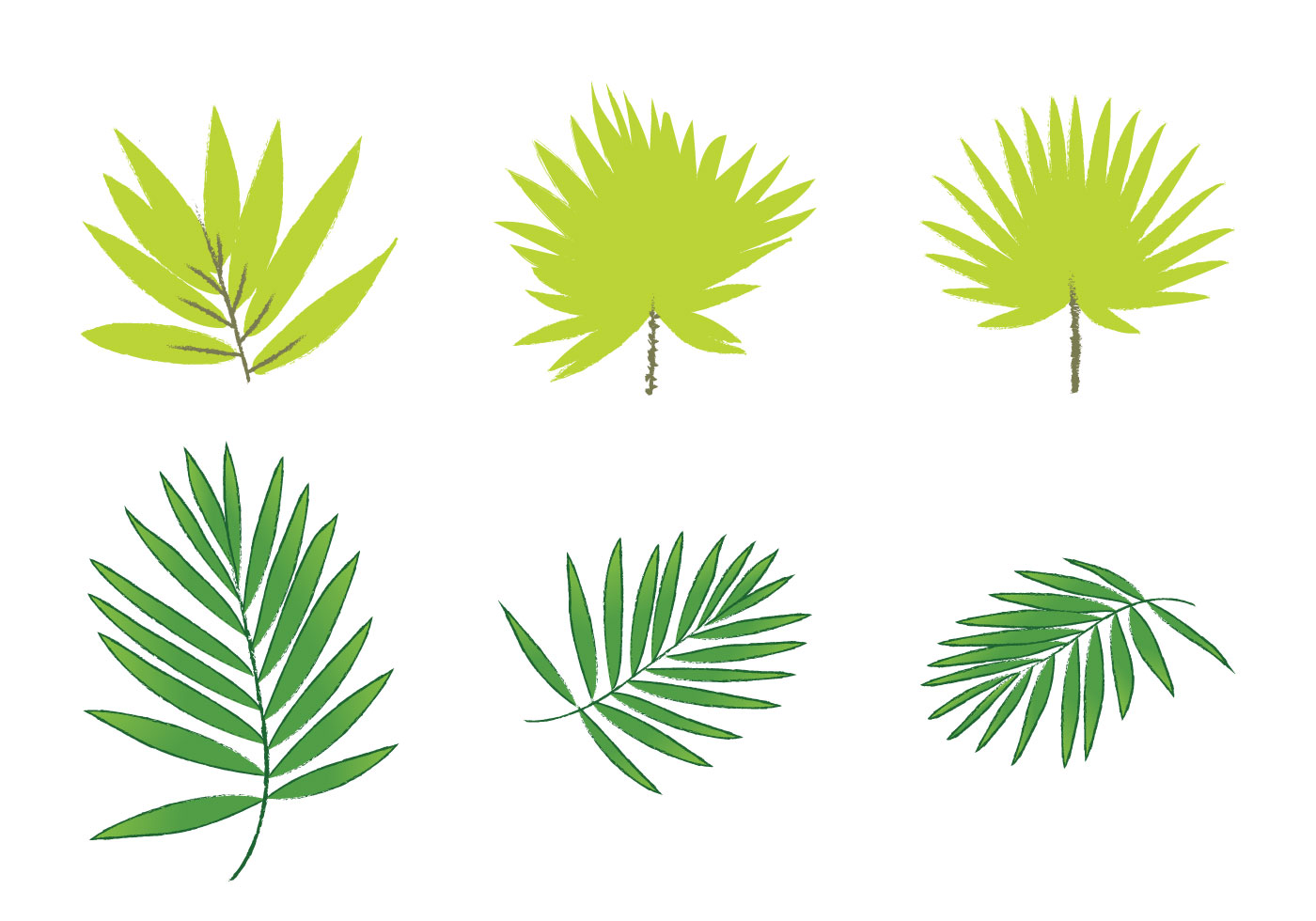 Free Palm Leaf Vectors - Download Free Vector Art, Stock ...