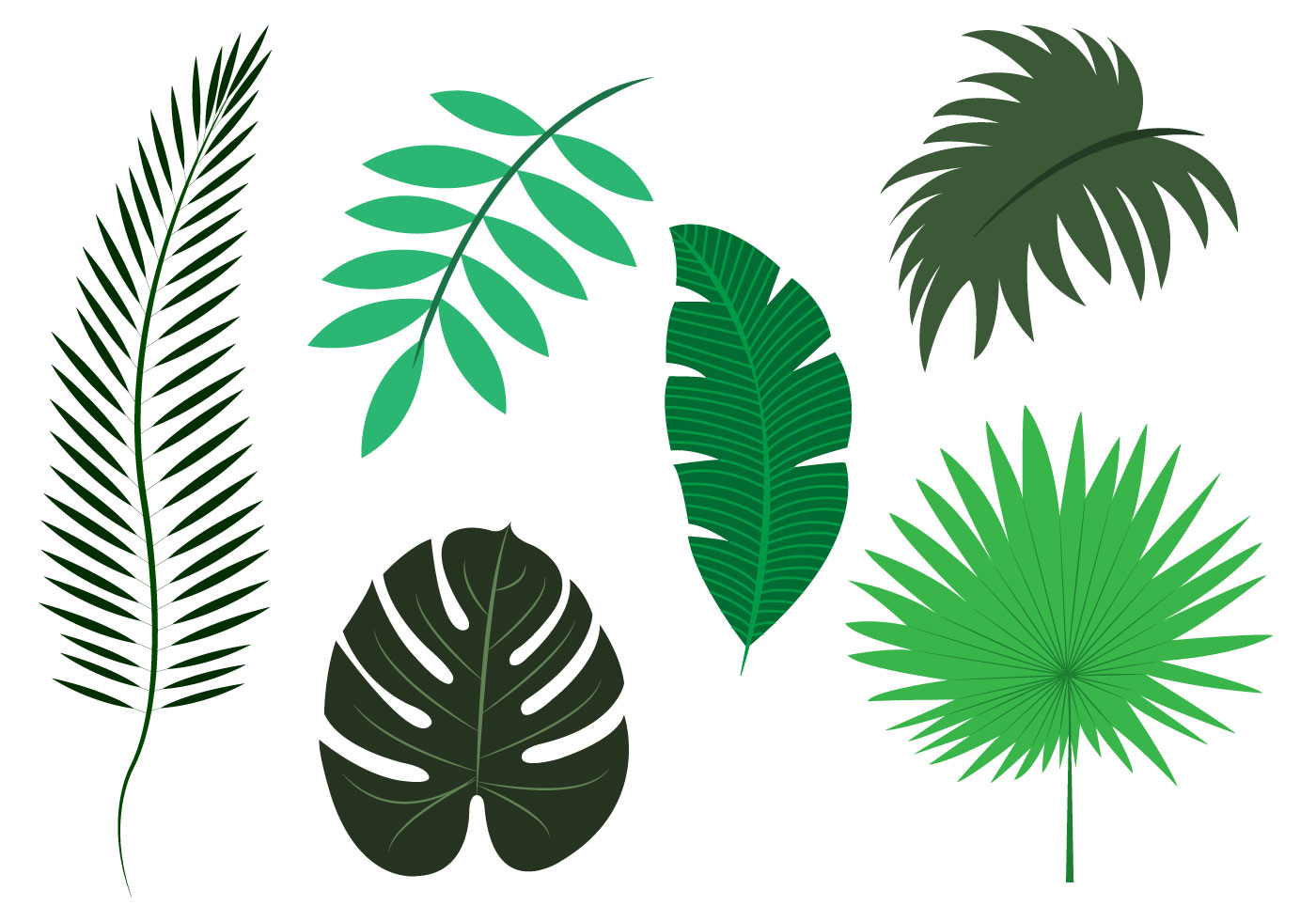 Vector Set of Palm Leaves Download Free Vector Art
