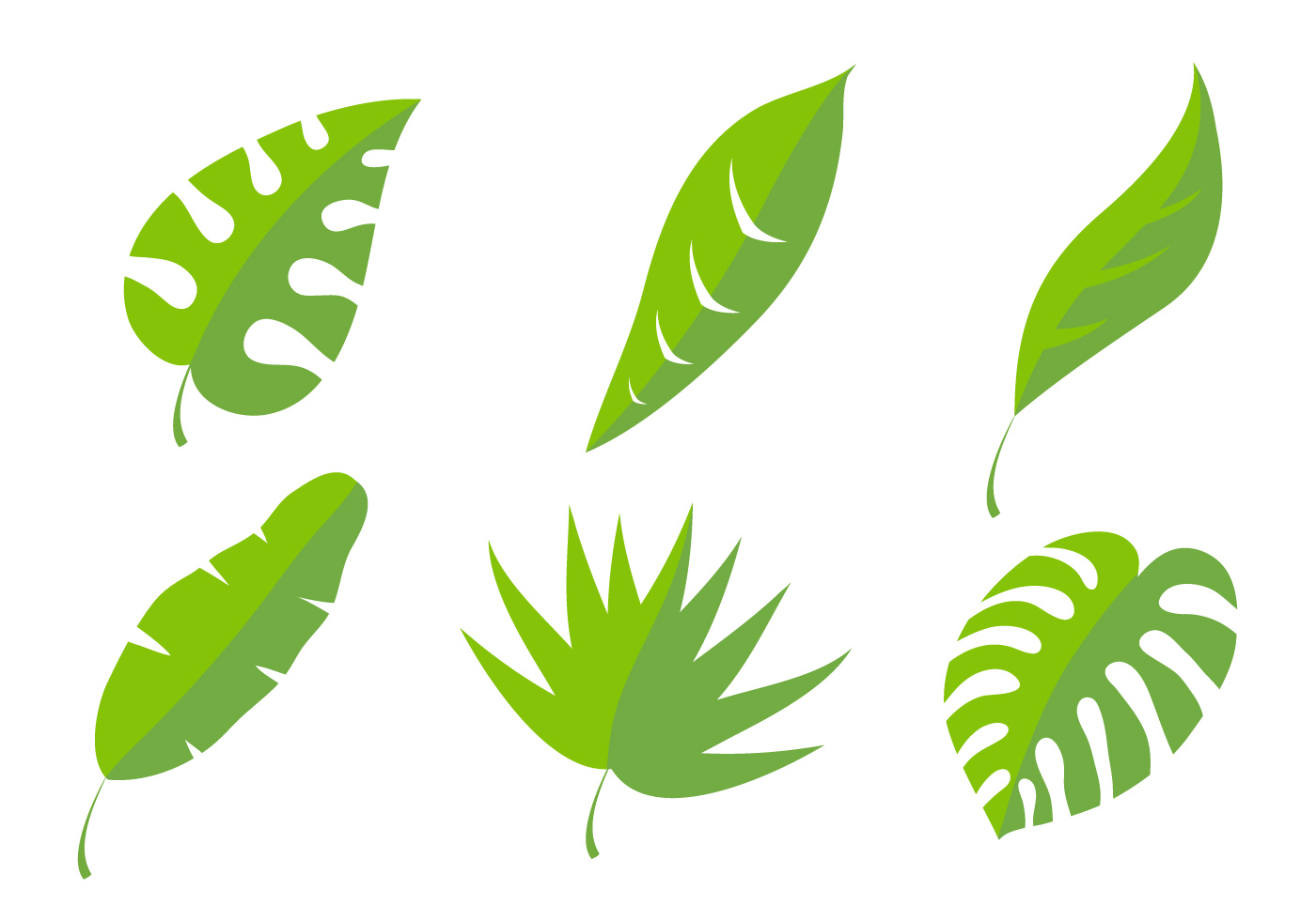 Palm Leaf Vectors - Download Free Vector Art, Stock Graphics & Images