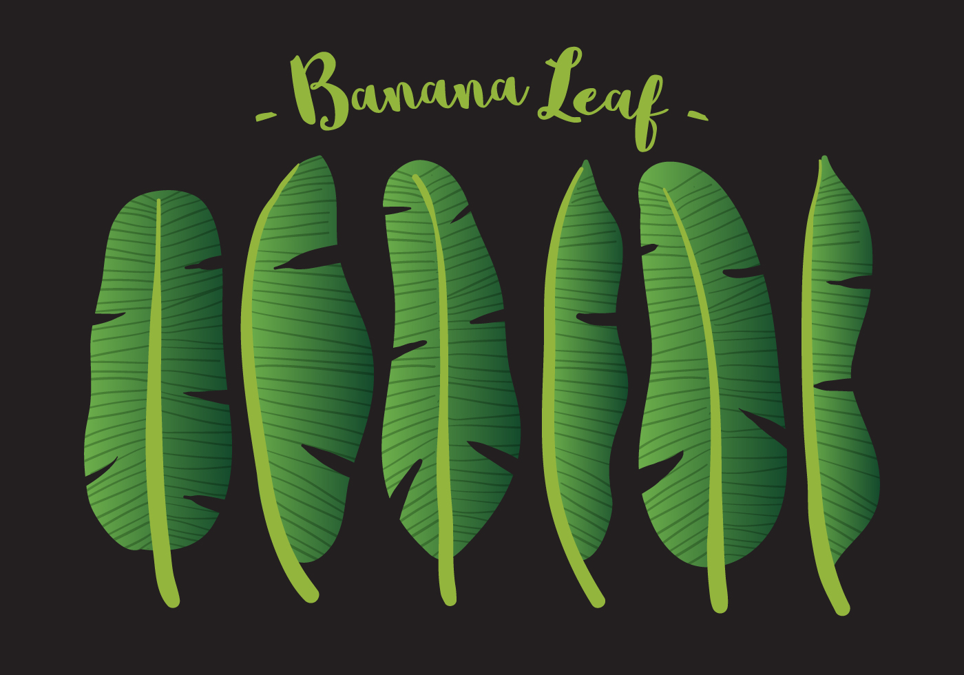 Vector Banana Leaf - Download Free Vector Art, Stock Graphics & Images