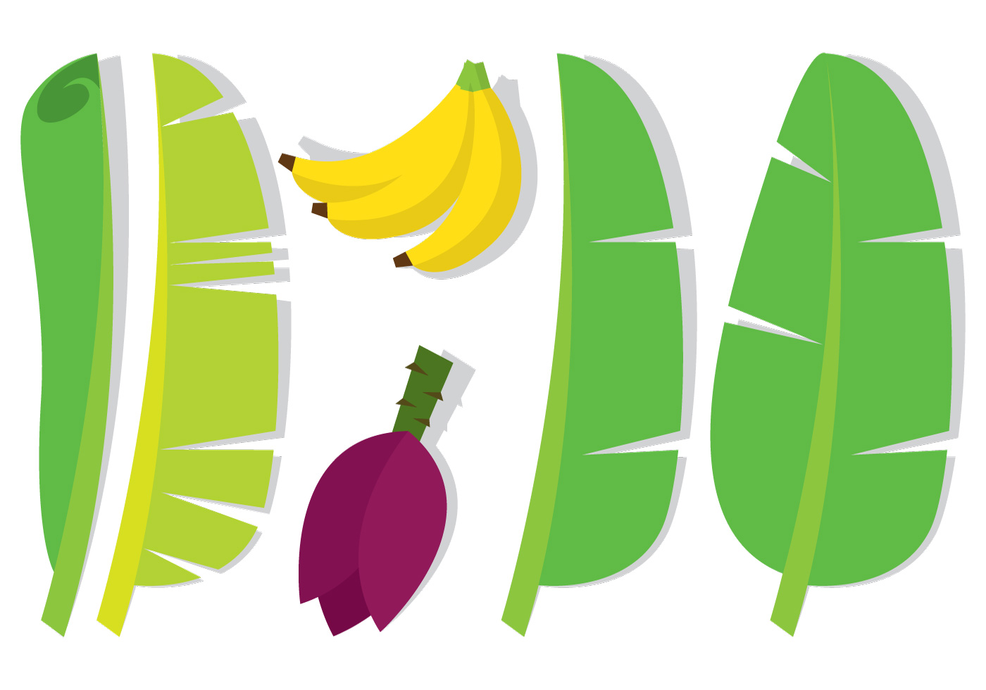 clip art banana leaf - photo #3