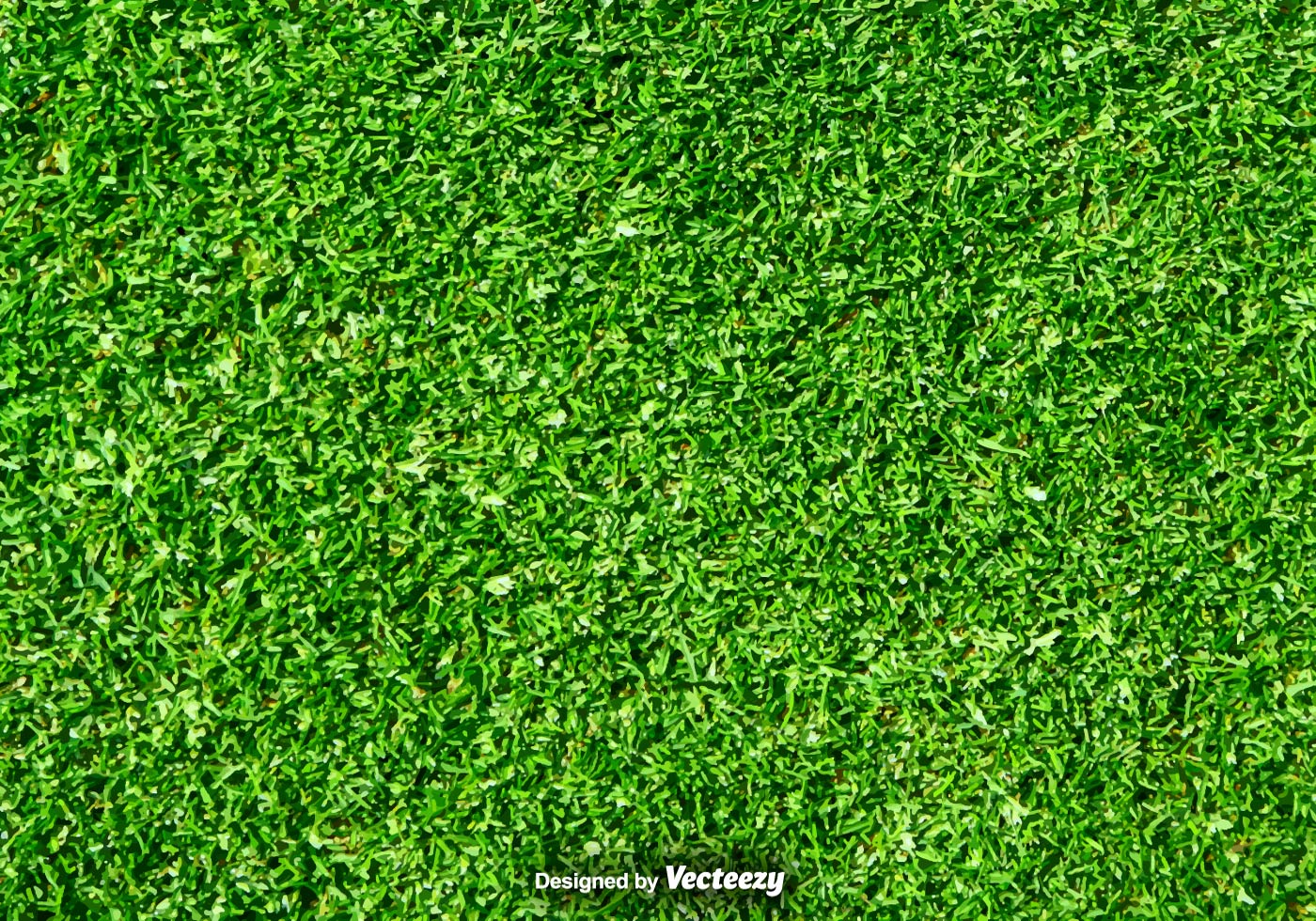 lawn nature green grass vector background