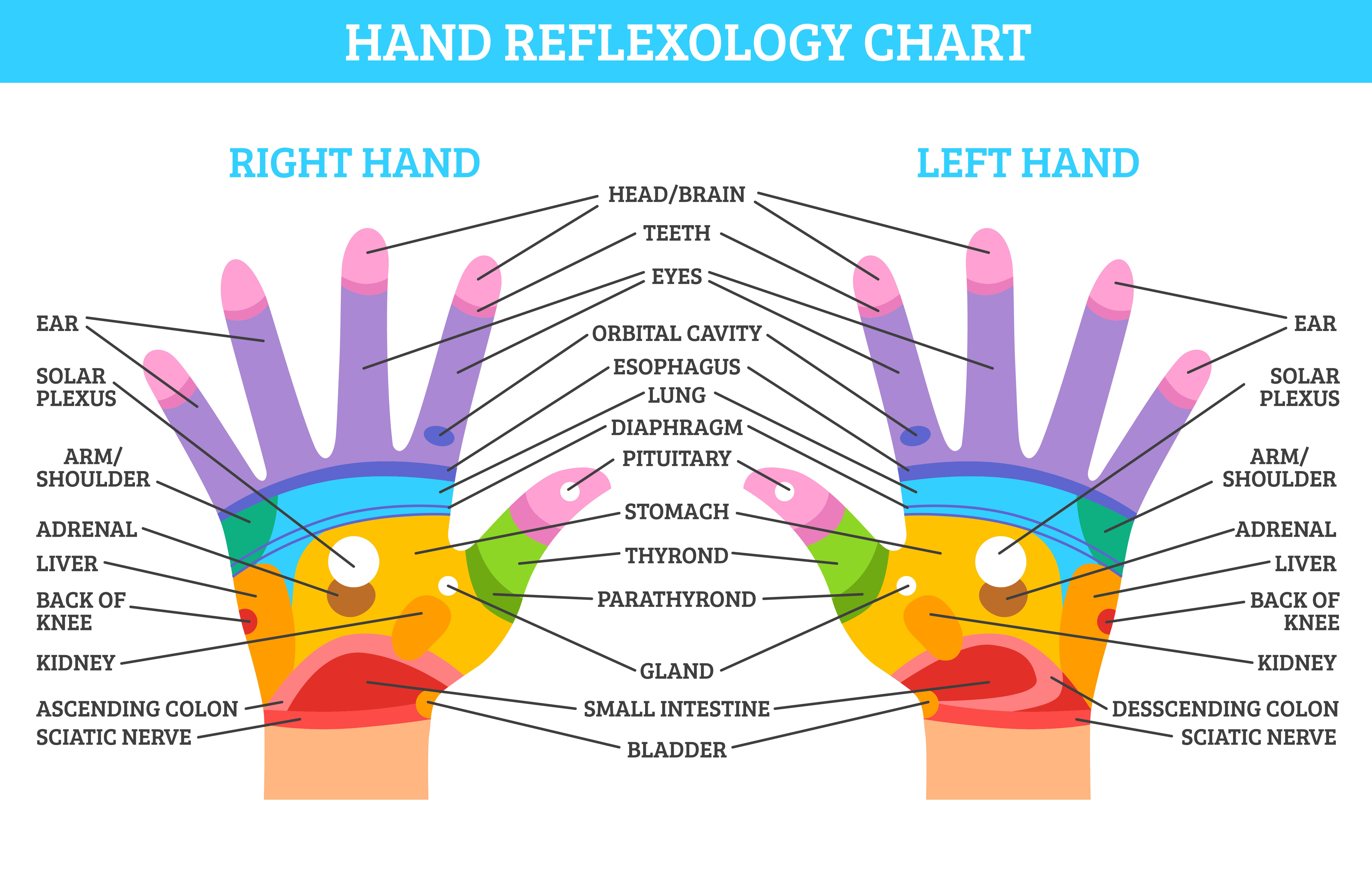 Free chart sexual hand reflexology