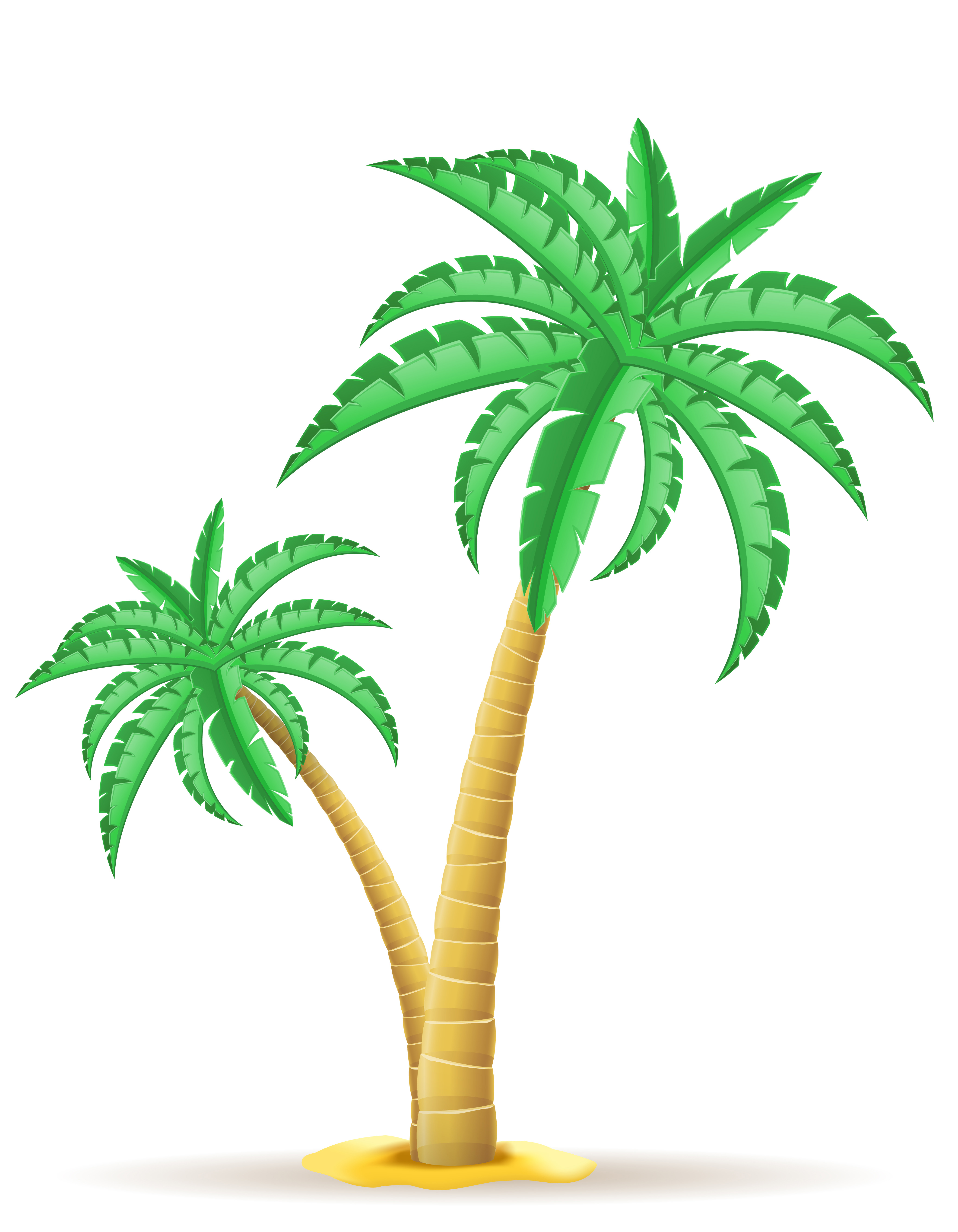 Palm Trees Vector Graphics Clip Art Illustration Image Png X Px The