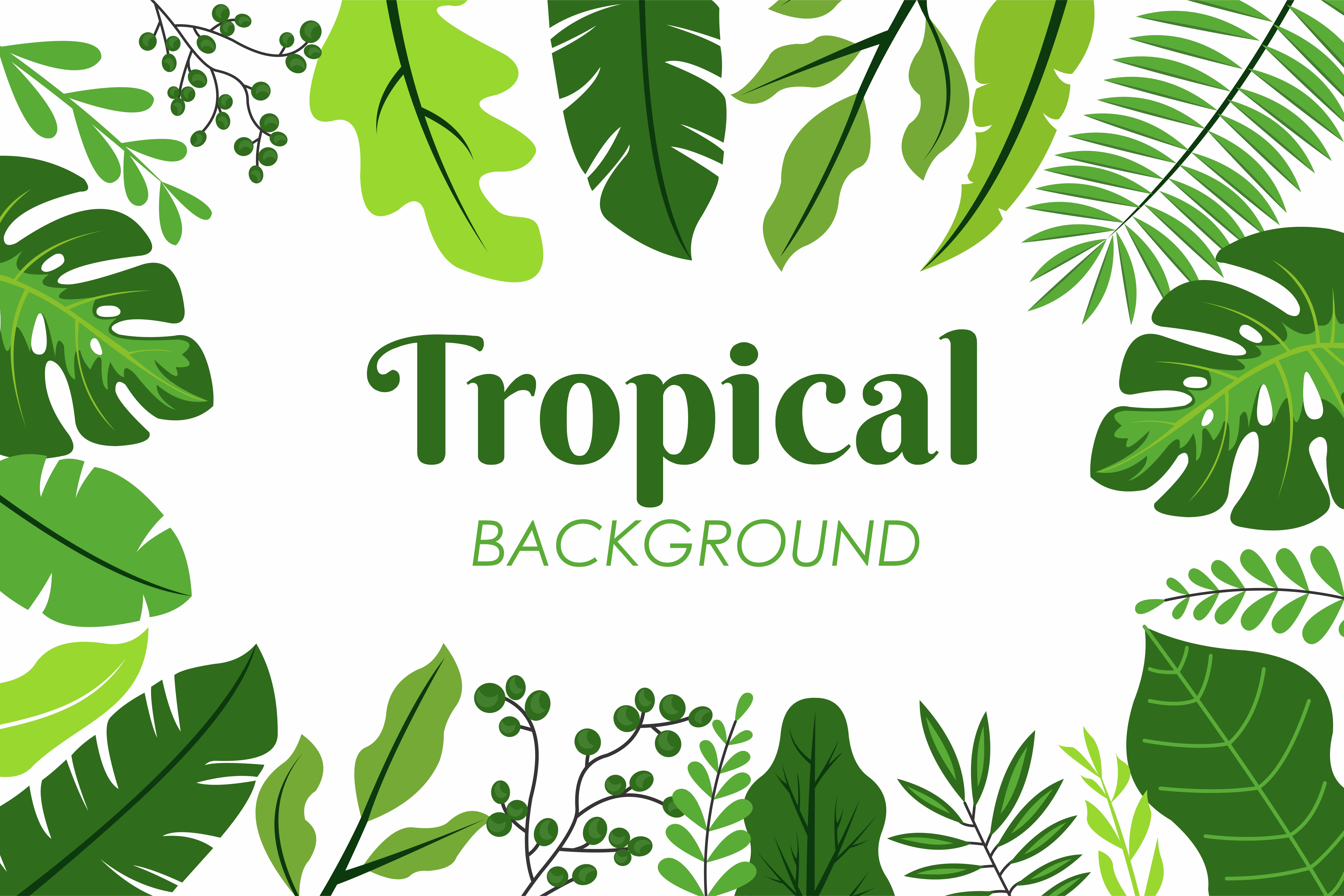 Tropical Leaves Vectores Iconos Gr Ficos Y Fondos Para Descargar Gratis