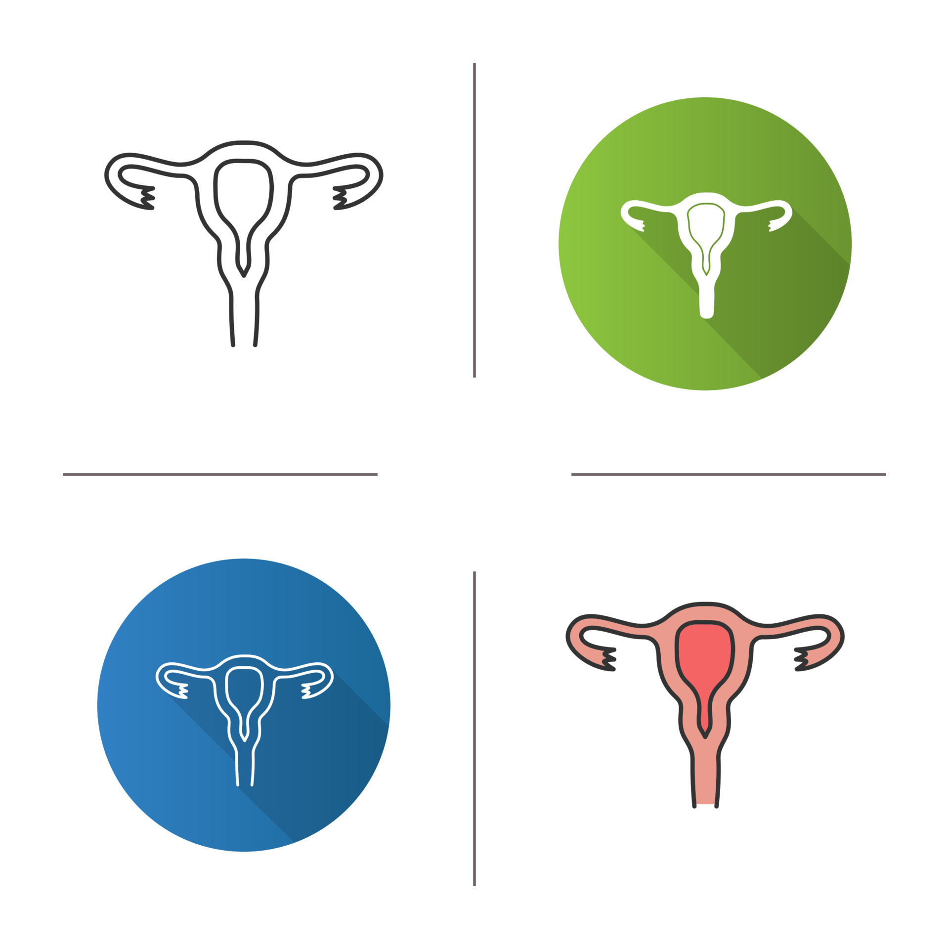 Uterus Fallopian Tubes And Vagina Icon Female Reproductive System Flat Design Linear And