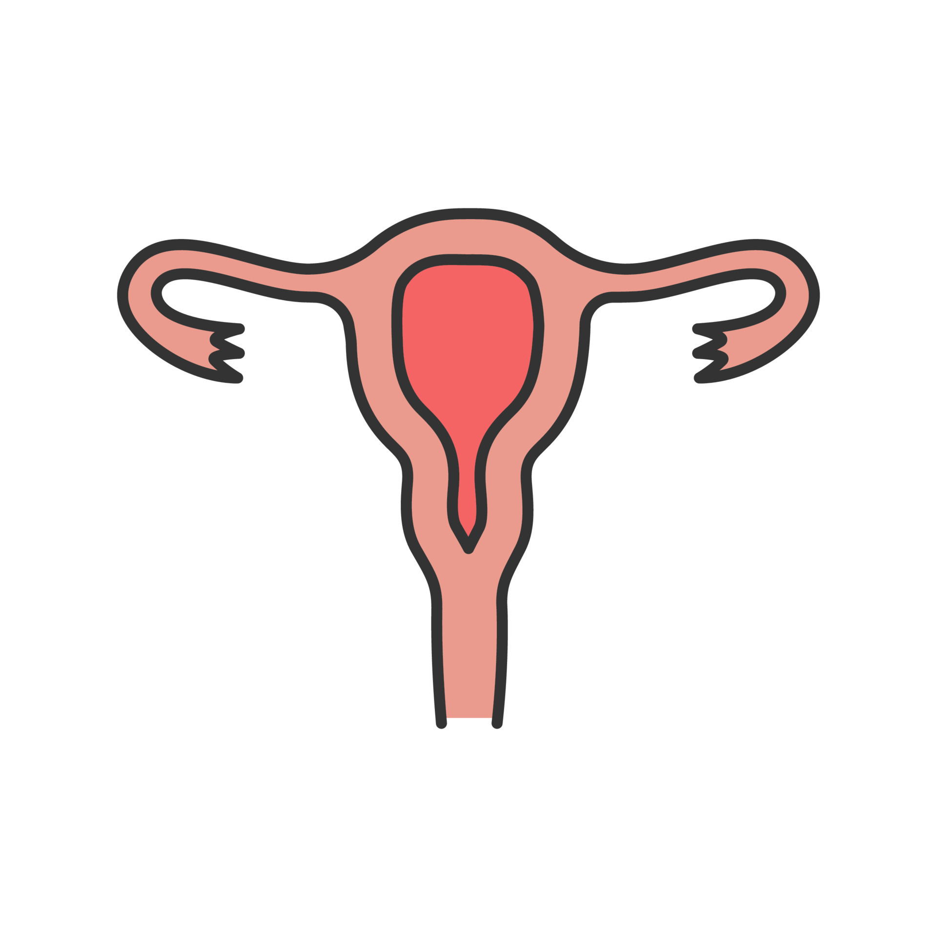 Uterus Fallopian Tubes And Vagina Color Icon Female Reproductive System Isolated Vector