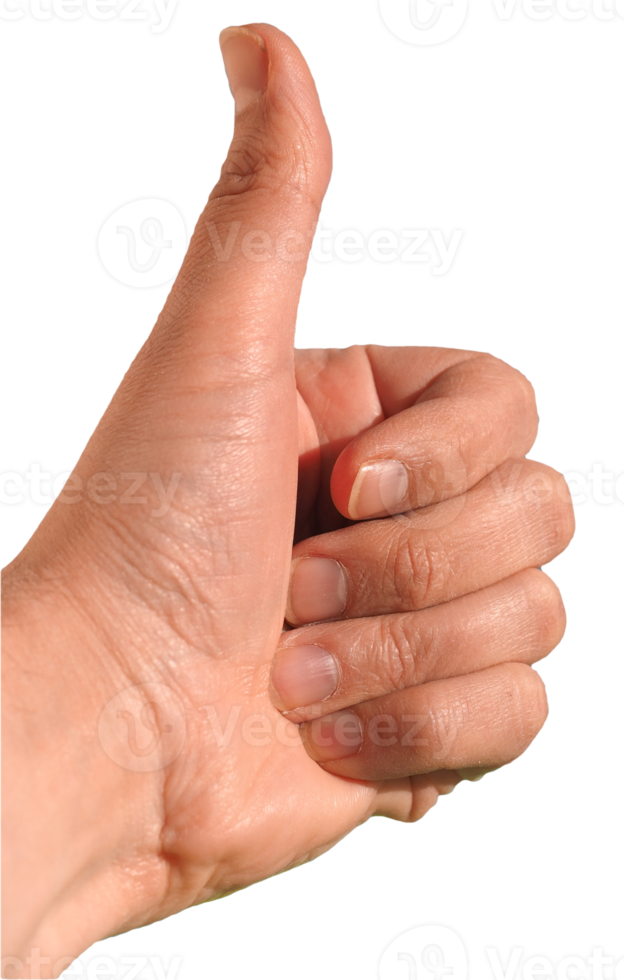 Free Pulgar Arriba Png Transparente 8494104 PNG With Transparent Background