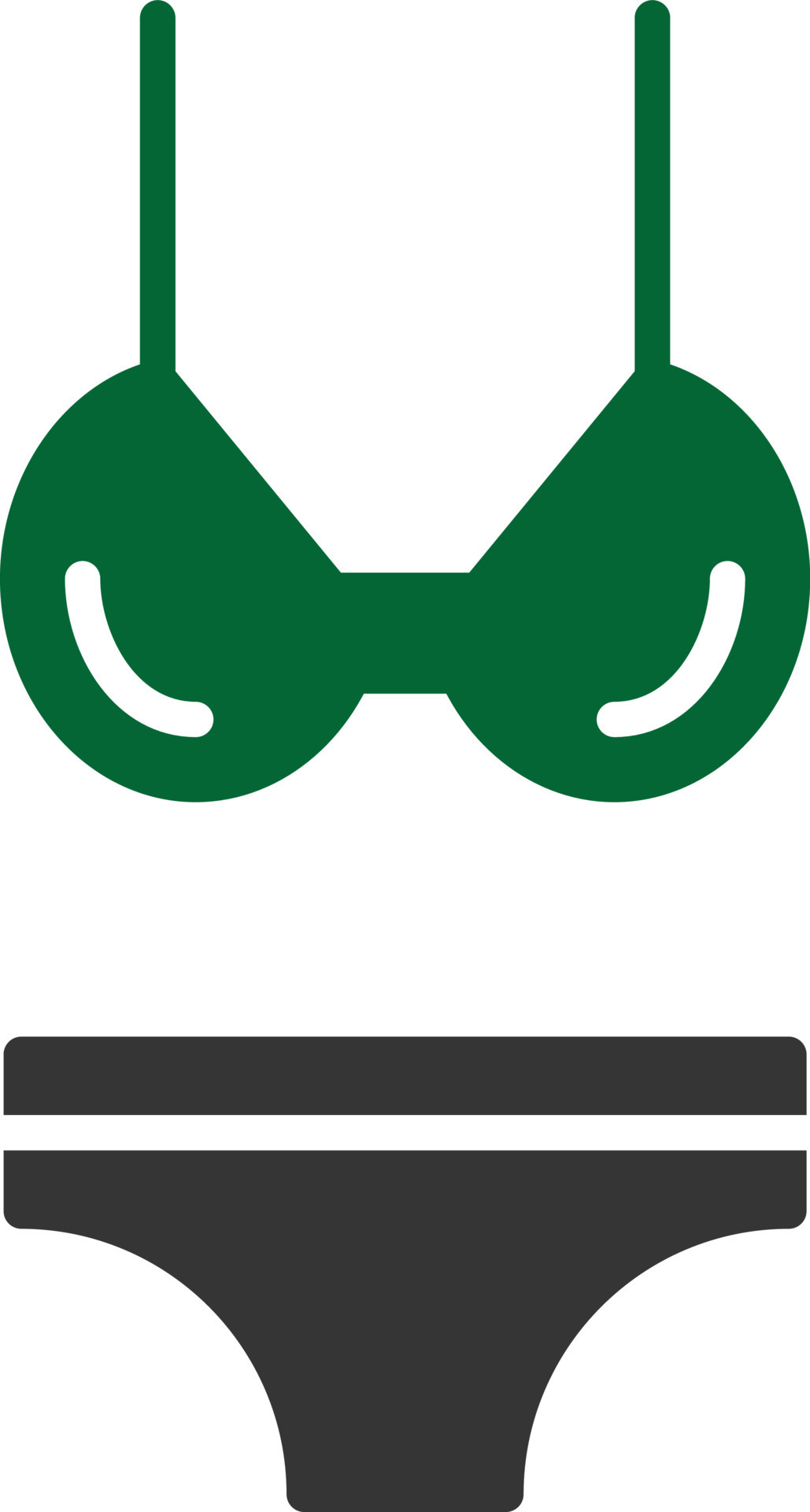 Bikini Glyph Two Color Vector Art At Vecteezy