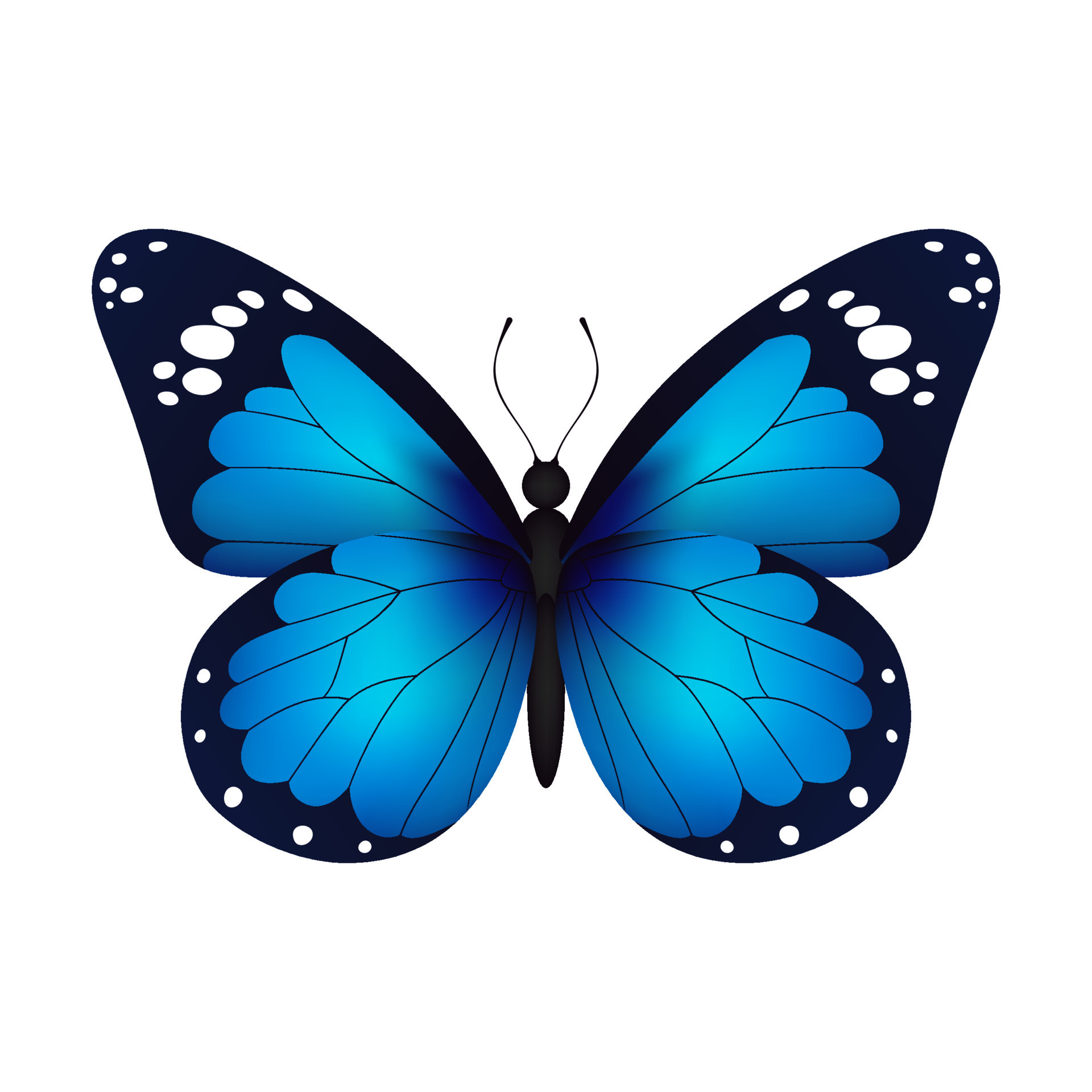 Blue Monarch Butterfly Clipart
