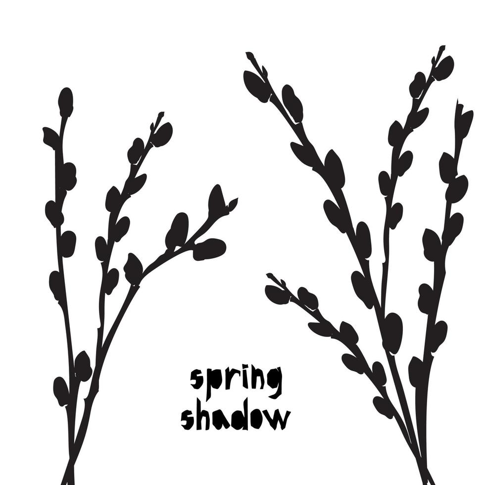 Pattern With Black Pussy Willow Silhouette Shadow Isolated On White Background Vintage Fabric