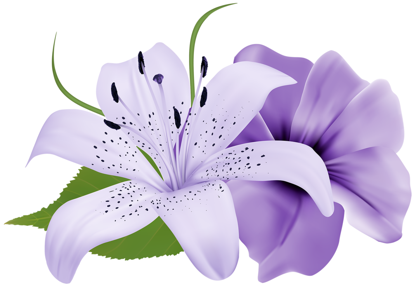 Flores Decorativas Moradas Png