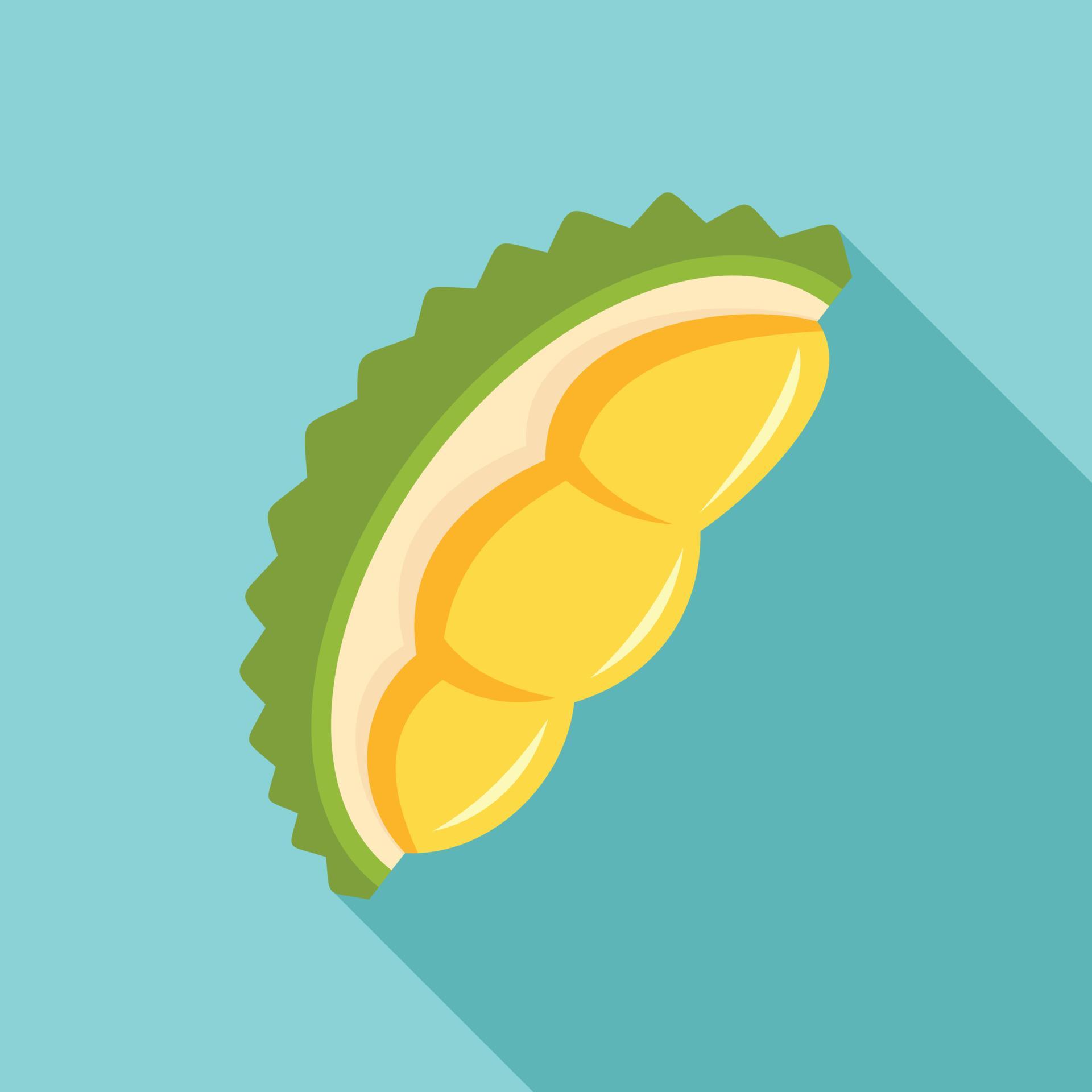 Fresh Durian Piece Icon Flat Style 14619015 Vector Art At Vecteezy