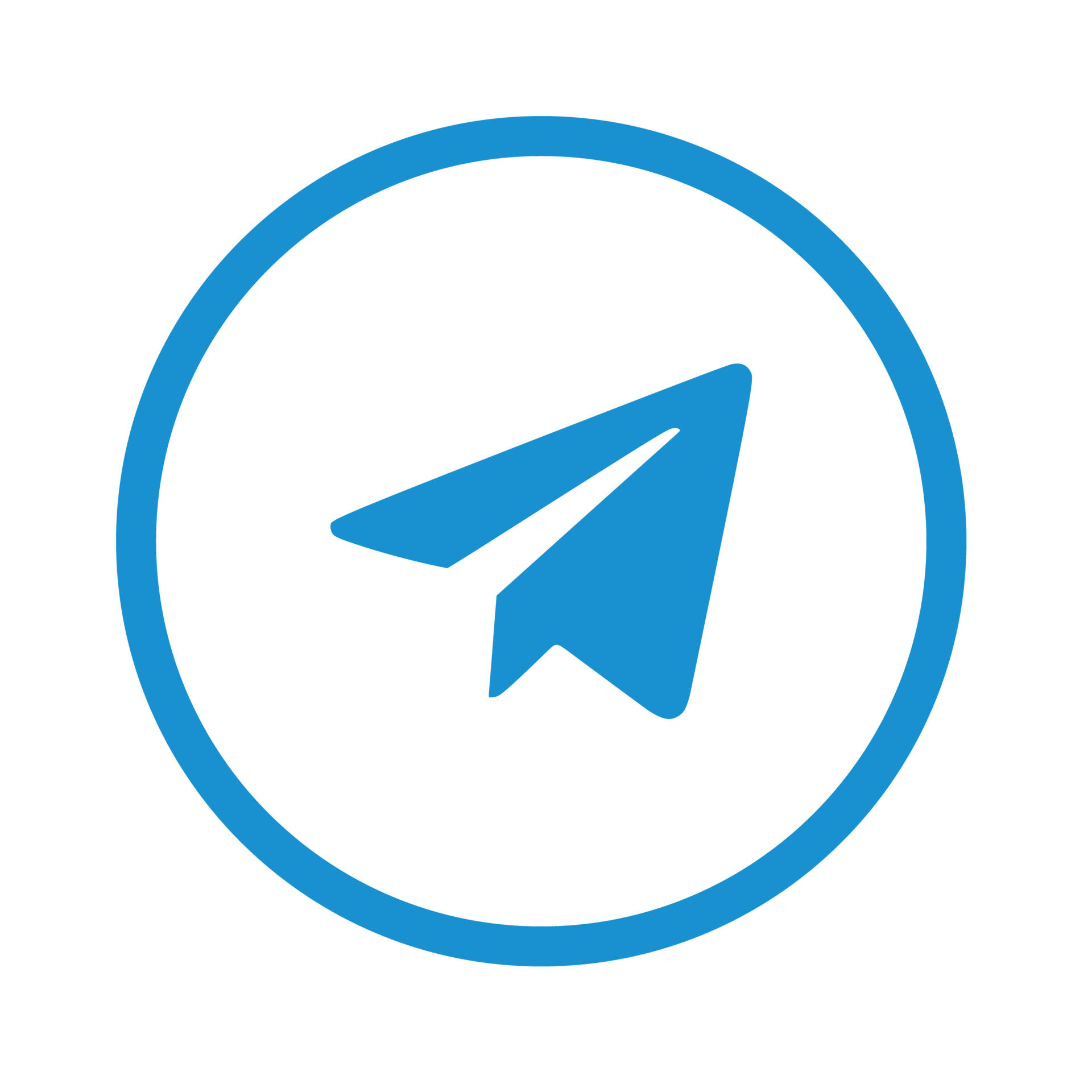 Telegram Logo Png Transparent PNG