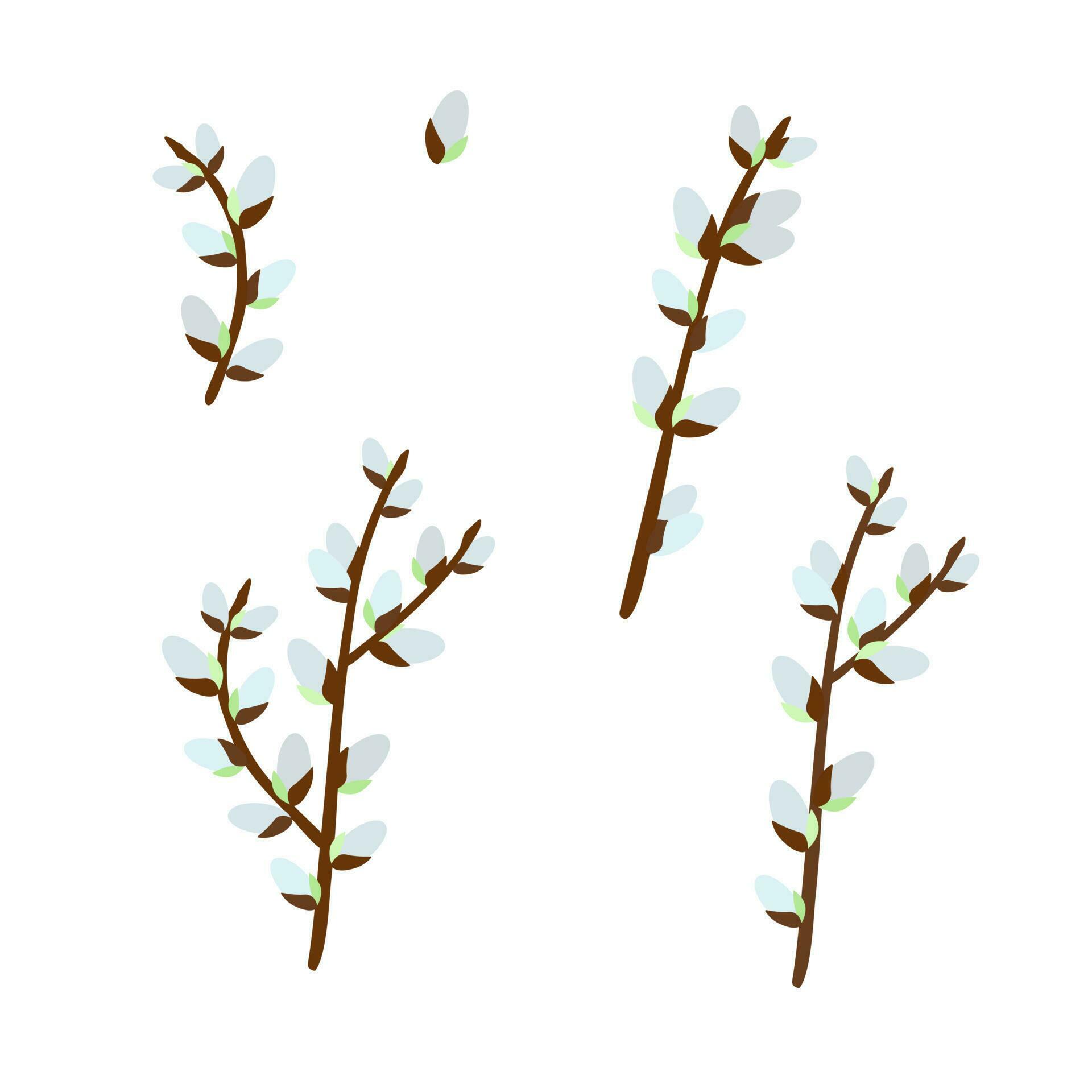 Pussy Willow Branches Set Willow Tree Twigs Vector Floral Illustration For Spring Holidays
