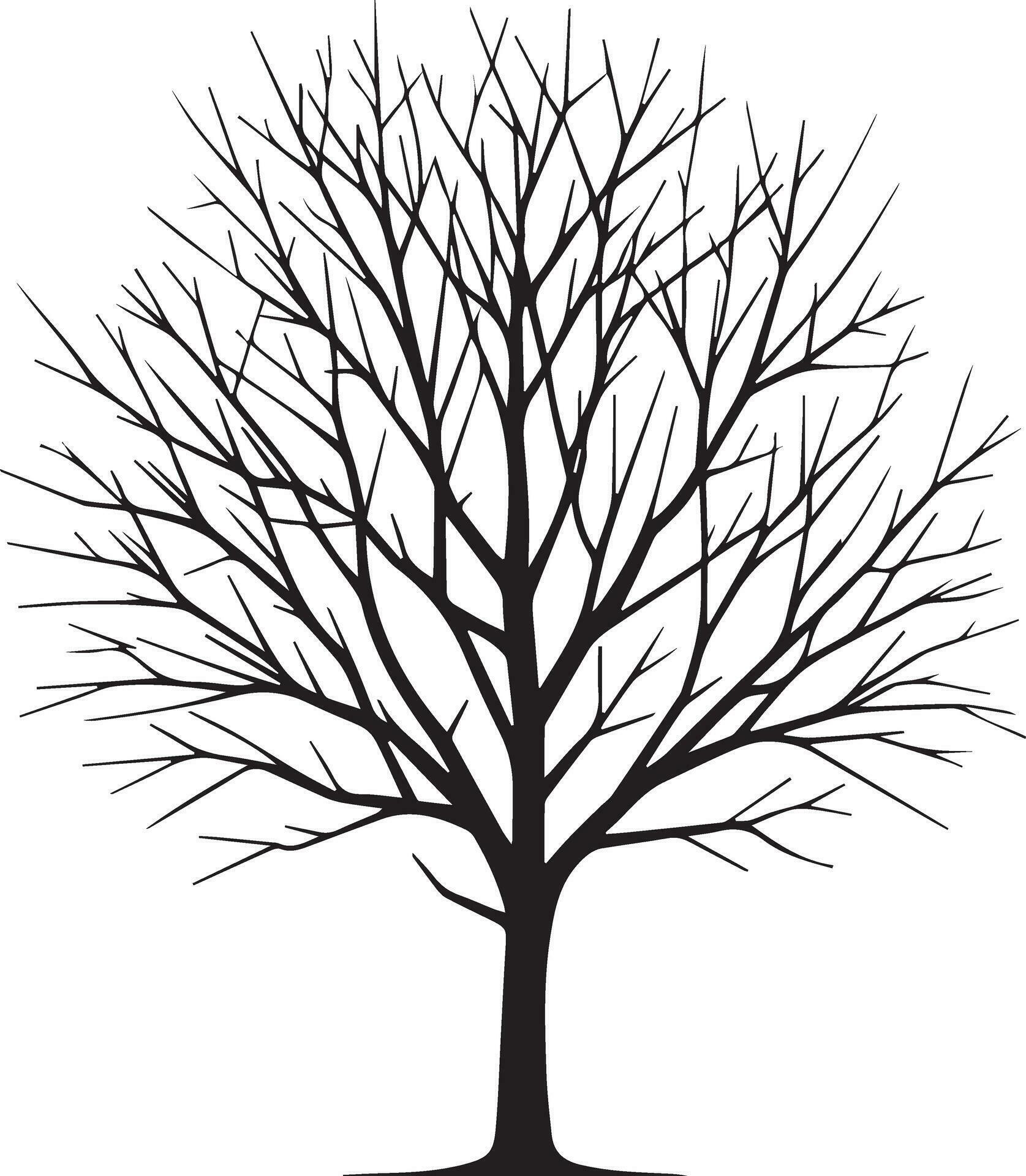 Minimal Naked Tree Silhouette Vector Silhouette Black Color Silhouette