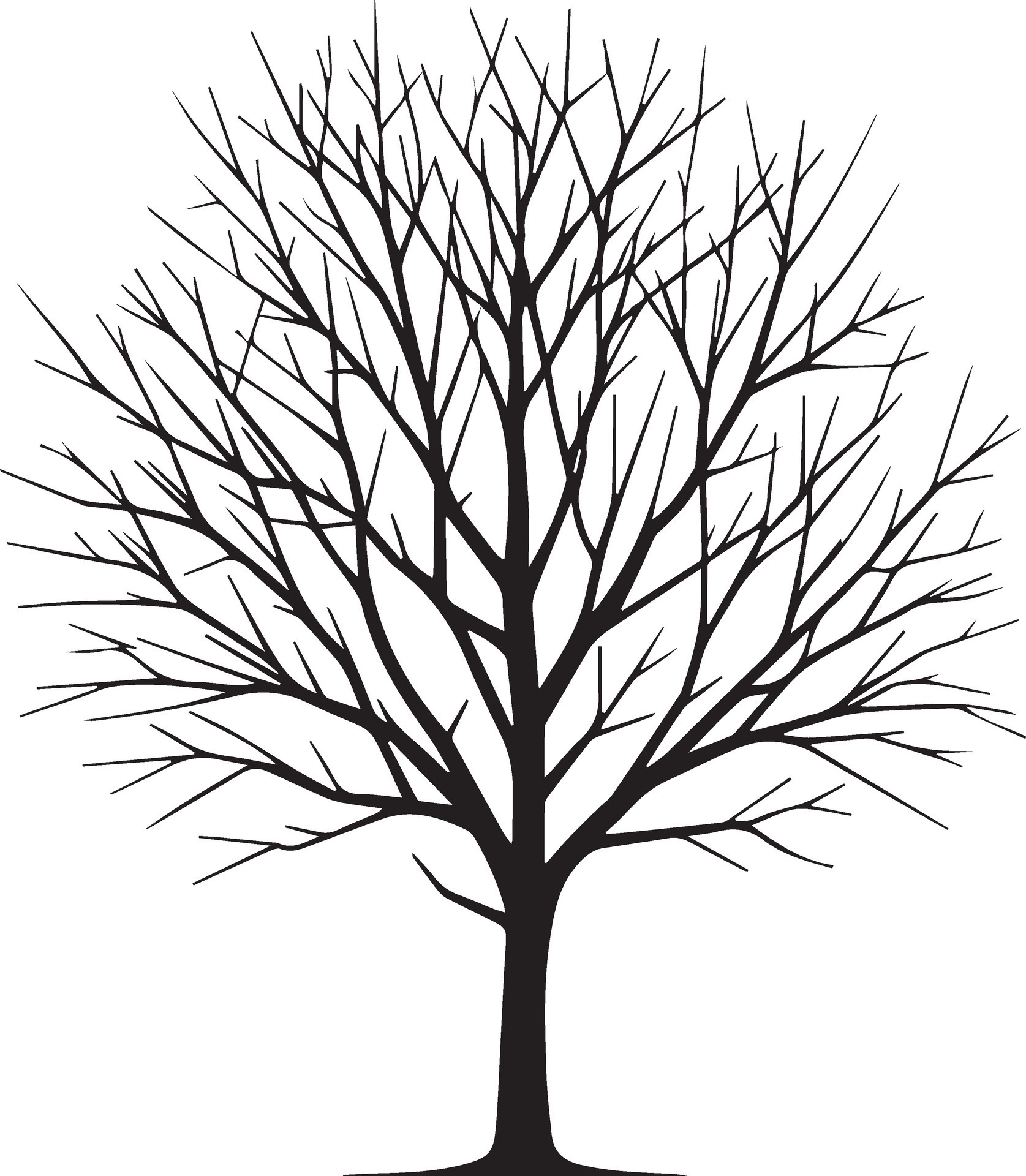 Minimal Naked Tree Silhouette Vector Silhouette Black Color Silhouette White Background 26
