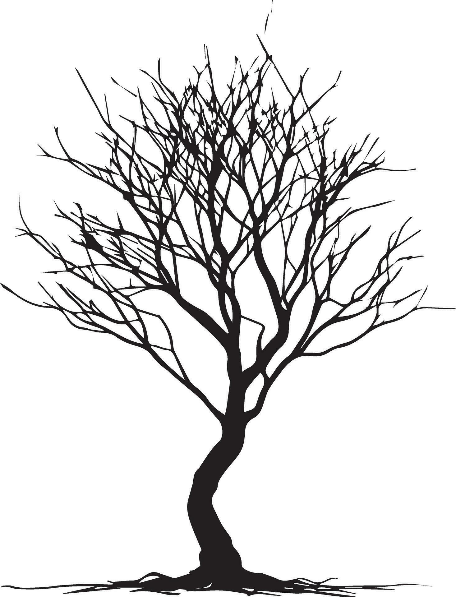 Minimal Naked Tree Silhouette Vector Silhouette Black Color Silhouette White Background 13