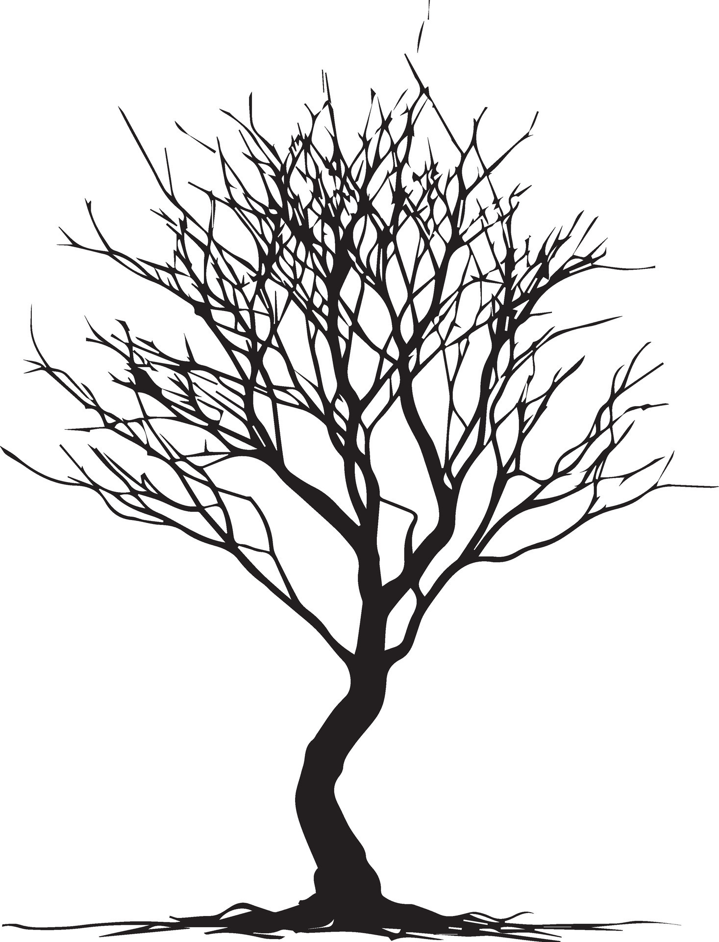 Minimal Naked Tree Silhouette Vector Silhouette Black Color Silhouette White Background 13