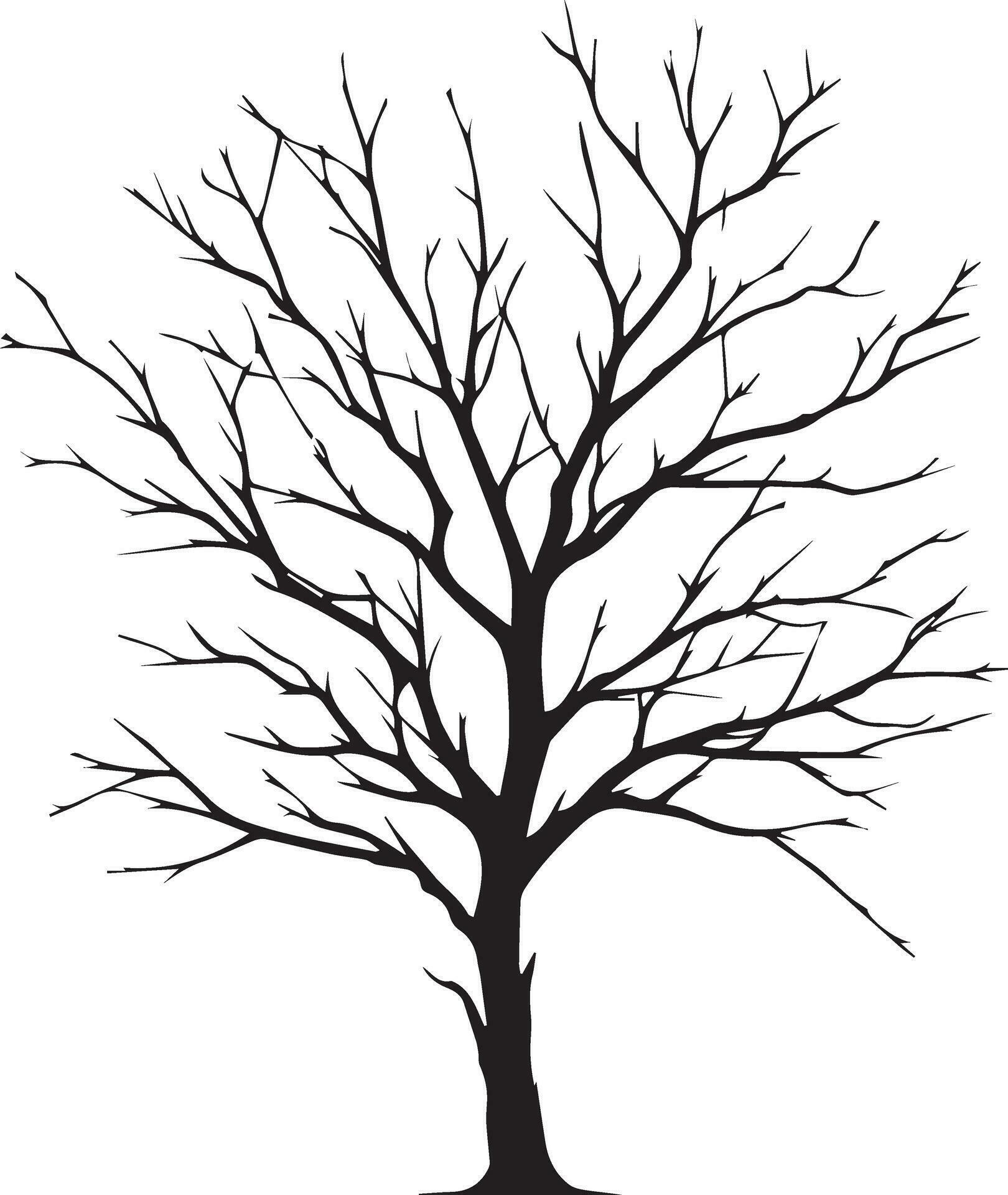 Minimal Naked Tree Silhouette Vector Silhouette Black Color Silhouette White Background 4