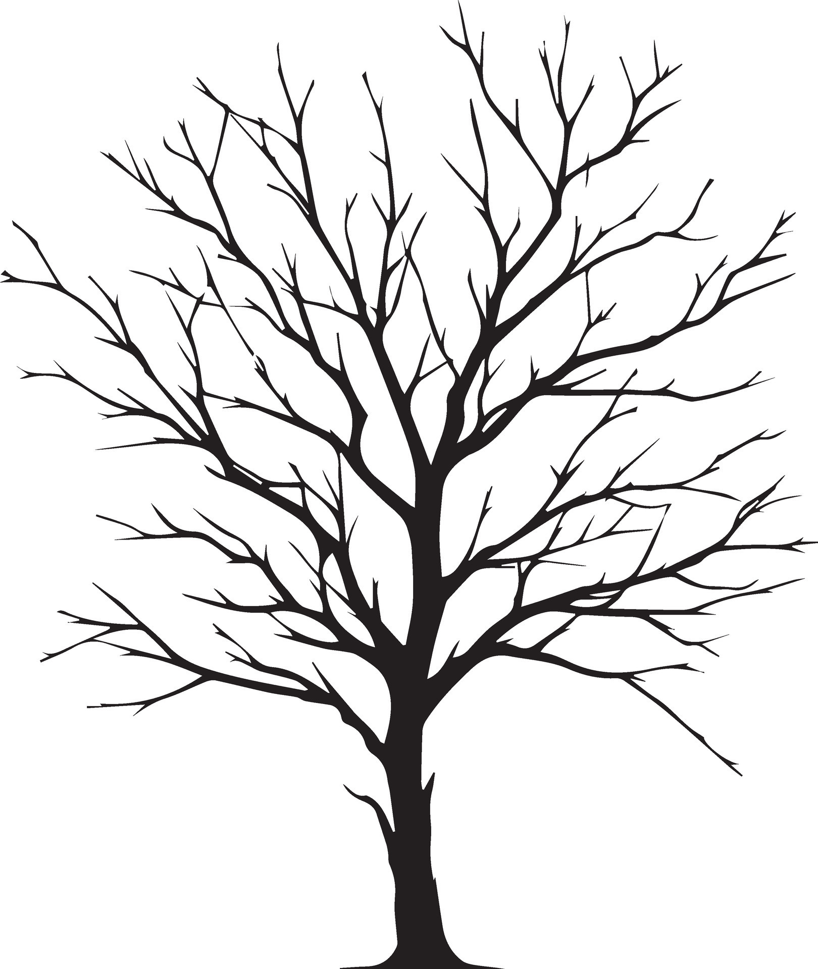 Minimal Naked Tree Silhouette Vector Silhouette Black Color Silhouette White Background 4