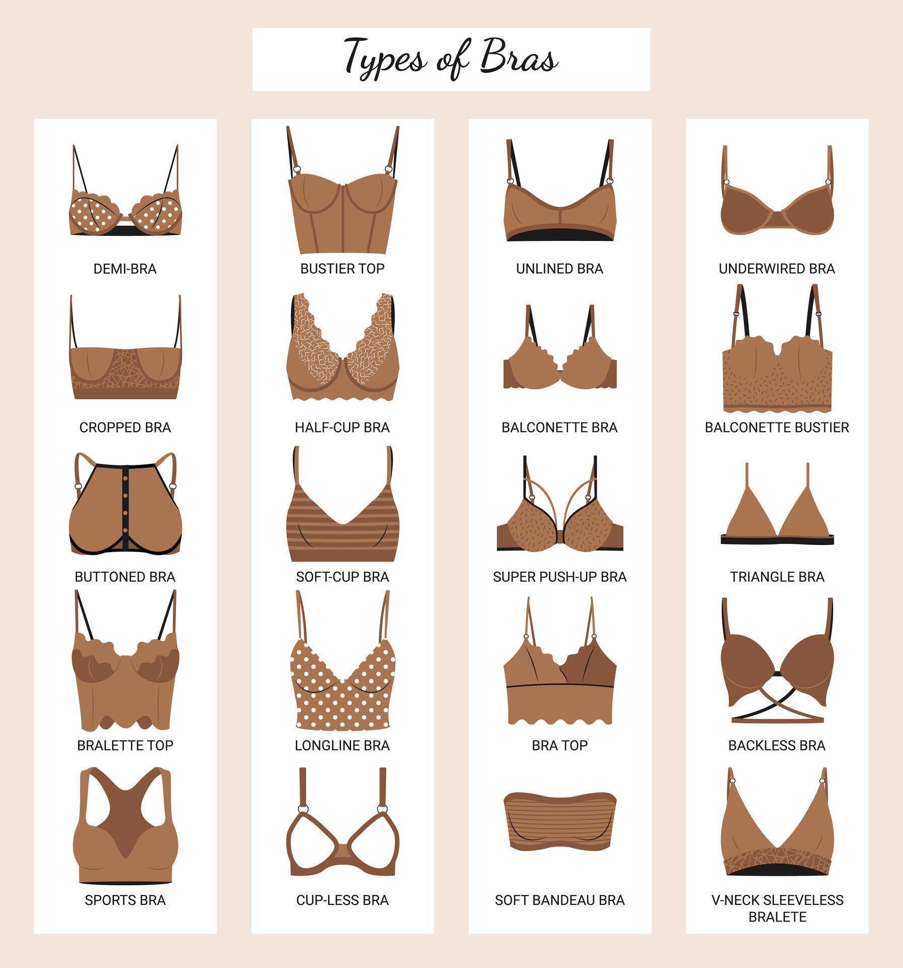 Types Of Bras Big Vector Collection Of Lingerie Set Of Underwear Balconette Strapless