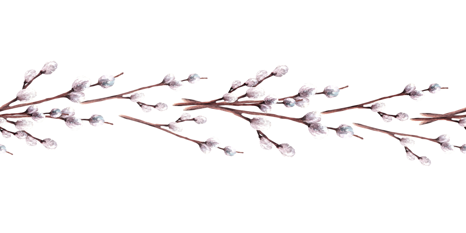 Watercolor Bouquet Of Pussy Willow Tree Spring Plant For Easter Palm Sunday Religious