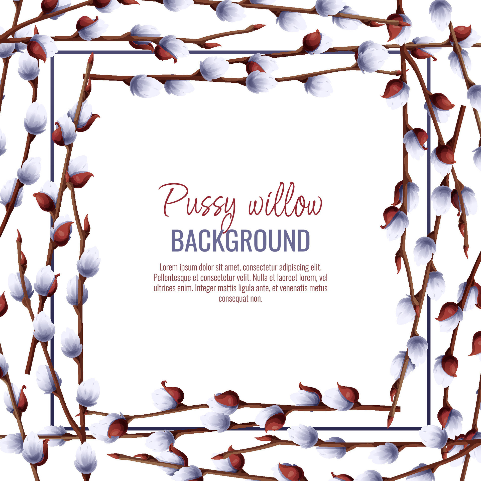 Spring Background With Pussy Willow Branches Postcard Banner For Easter Spring Time Frame