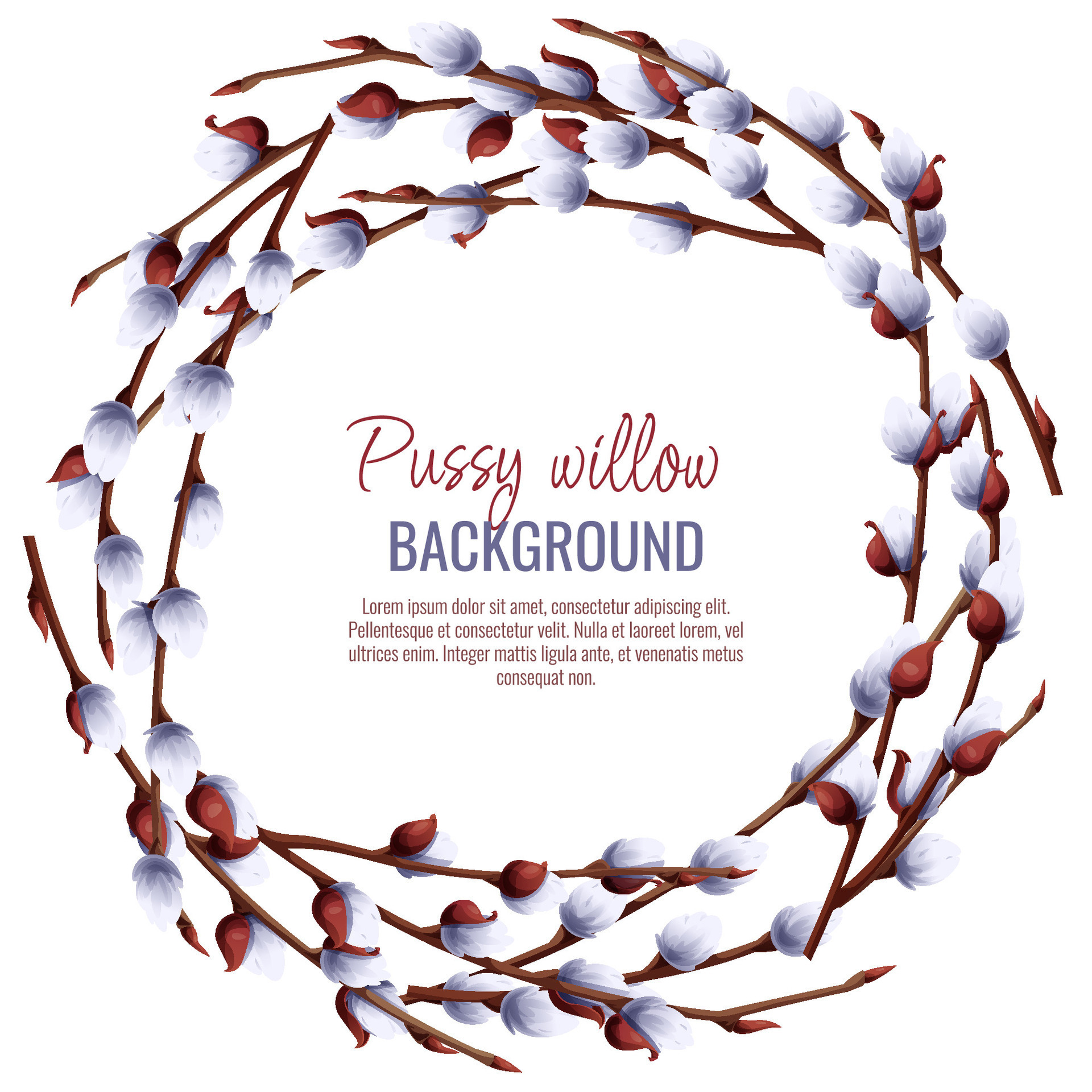 Spring Background With Pussy Willow Branches Postcard Banner For Easter Spring Time Frame