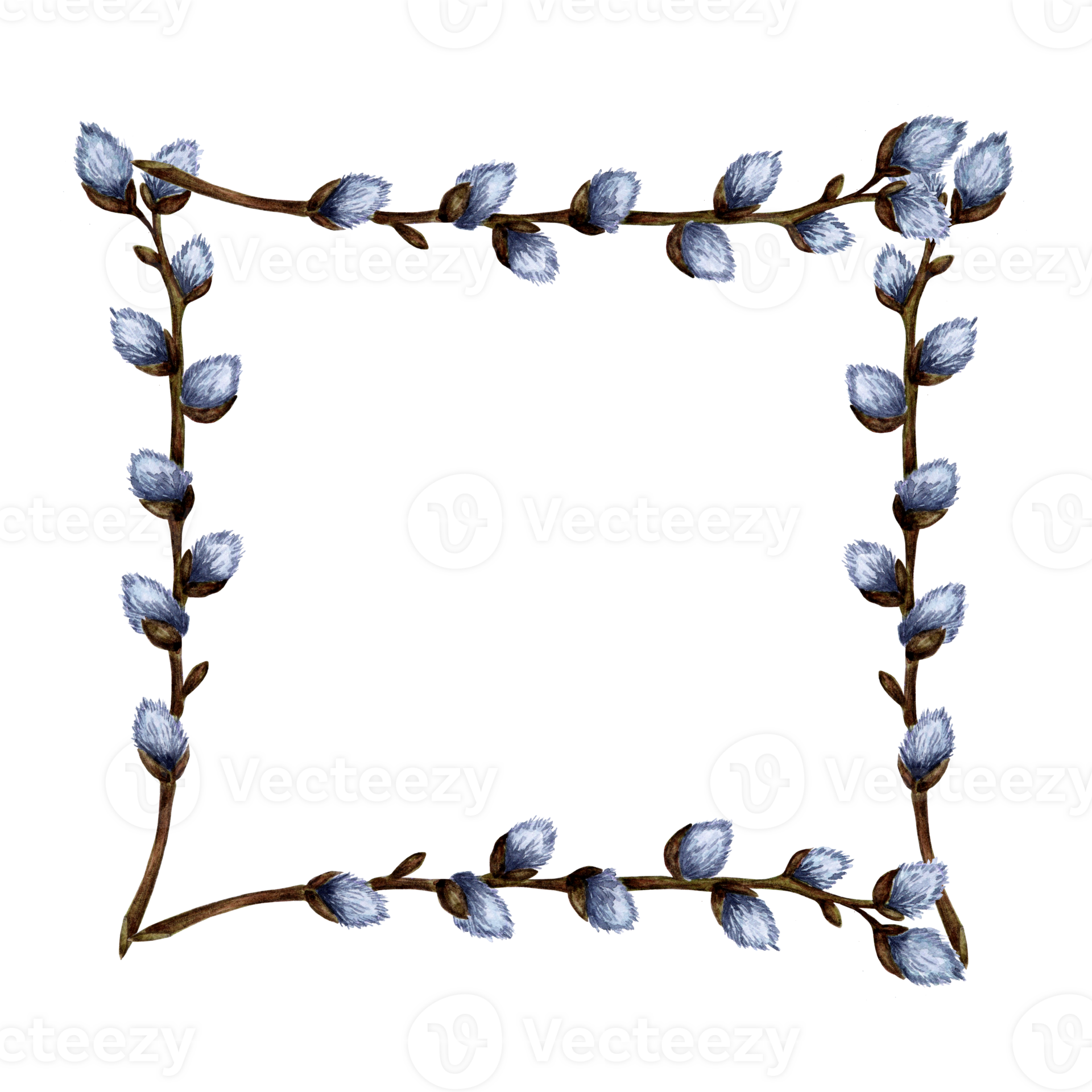 Watercolor Illustration Of A Square Frame Made Of Willow Branches Square Border Of Pussy Willow