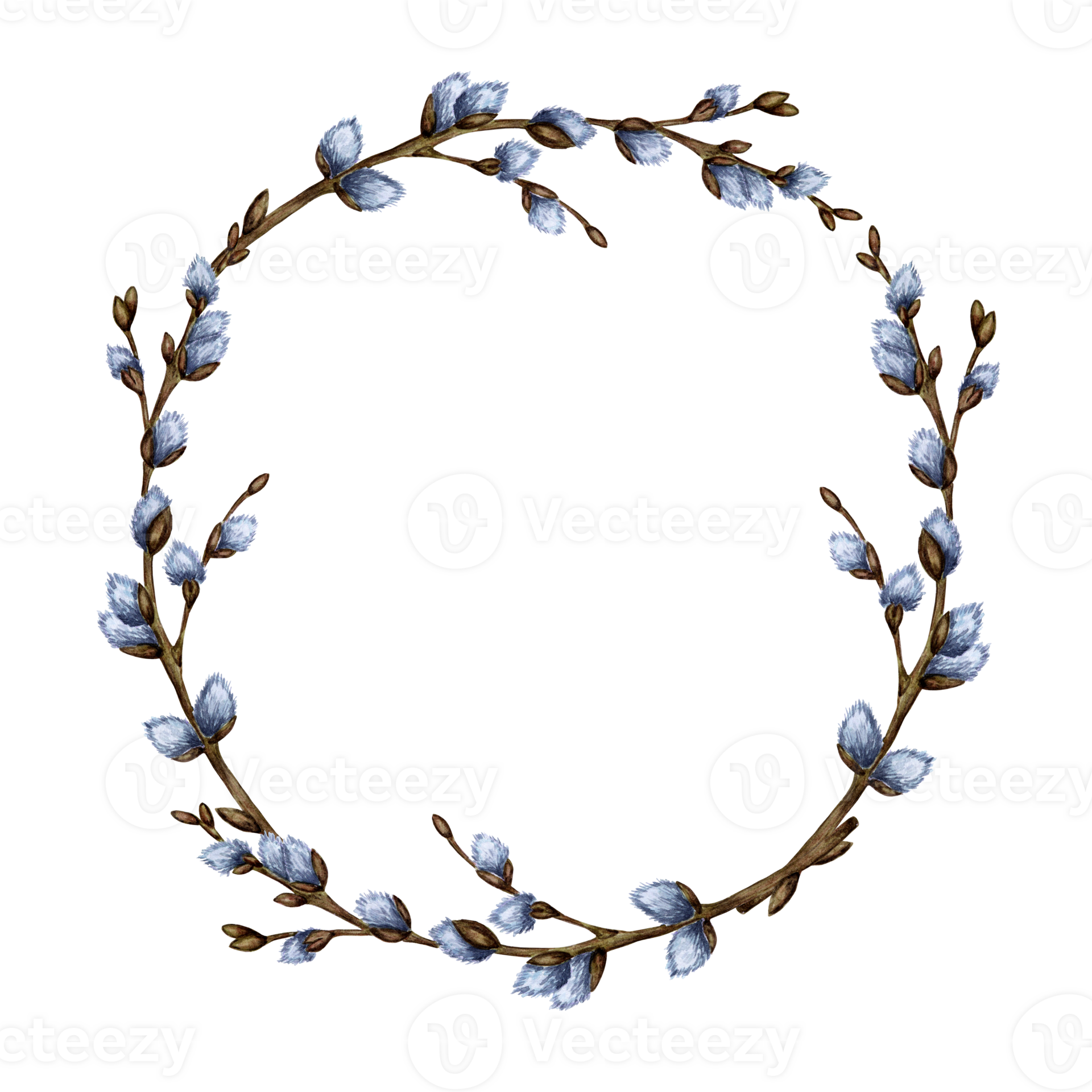 Watercolor Illustration Easter Round Frame Wreath Of Pussy Willow Branches Isolated Design
