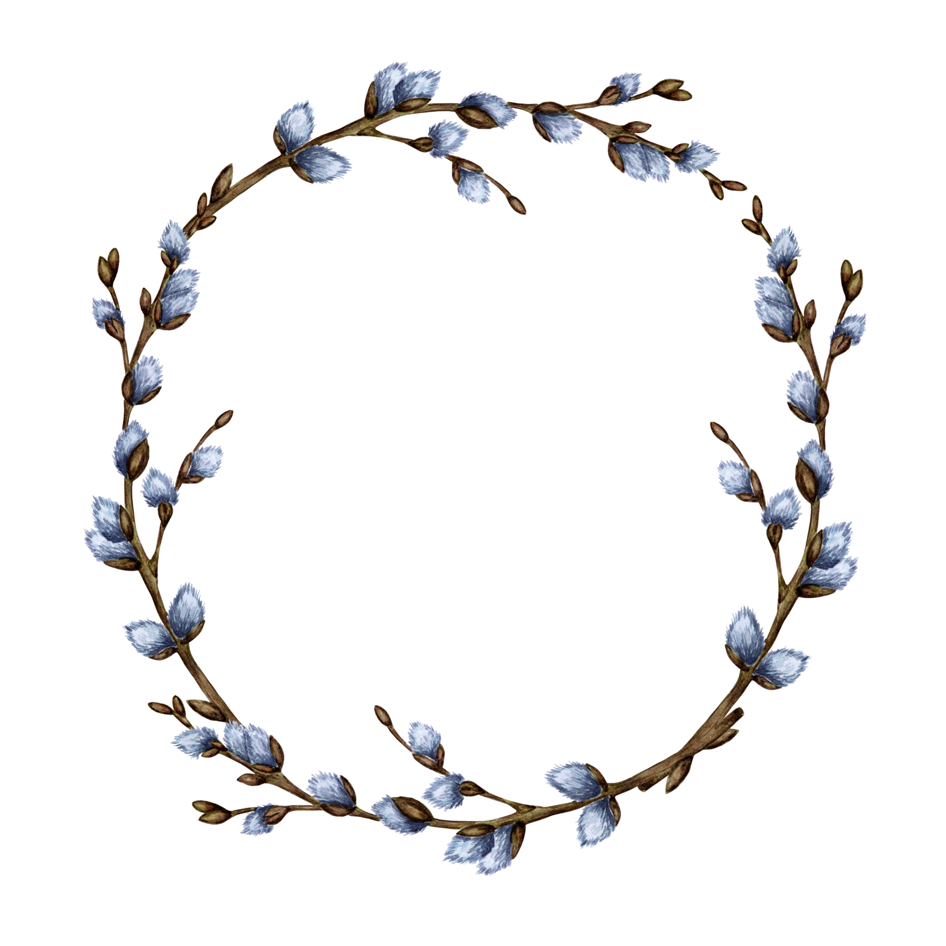 Watercolor Illustration Easter Round Frame Wreath Of Pussy Willow Branches Isolated Design