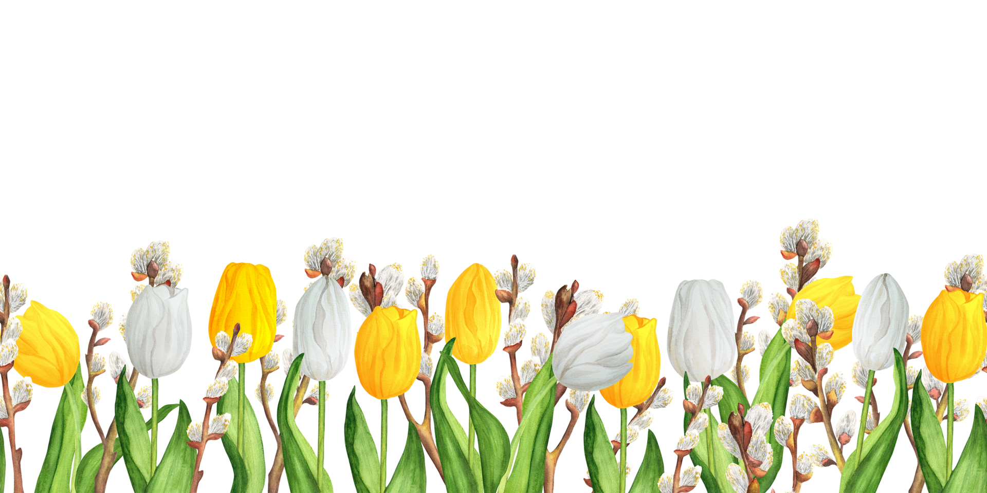 Seamless Floral Border With Colorful White And Yellow Tulips And Pussy Willow Branches Hand