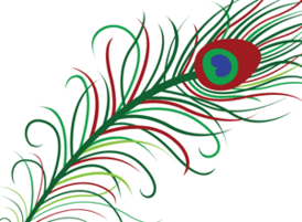 Peacock Feather Download Free Vector Art Stock Graphics Images