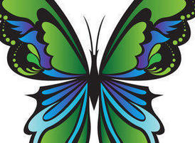 Green Butterfly Vector