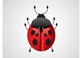 LadyBug Vector | Free Vector Art from Vecteezy!
