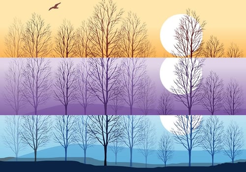 Silhouette Trees Wallpaper Vector Pack