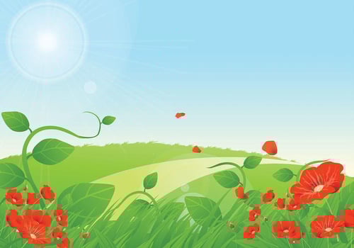 Summer Poppies Floral Vector Background
