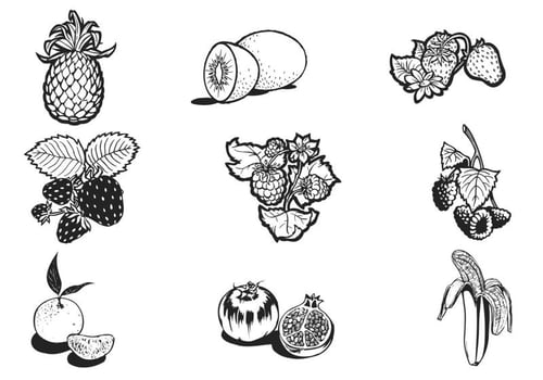Hand Drawn Fruit Vector Pack