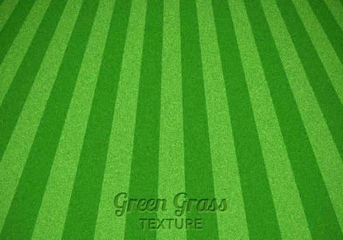 Mowed Green Grass Vector Texture