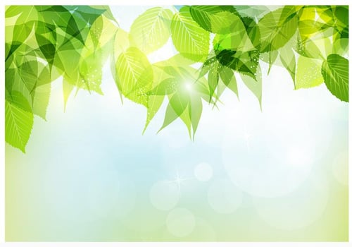 Bokeh Spring Leaves Vector Background