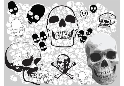floral logo vector