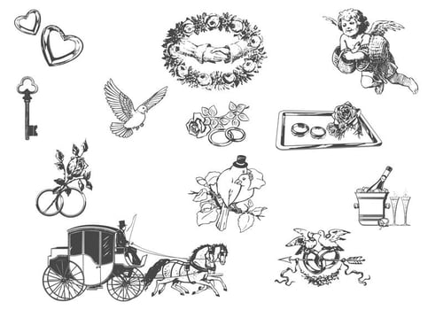 Drawn Wedding Elements Vector Set