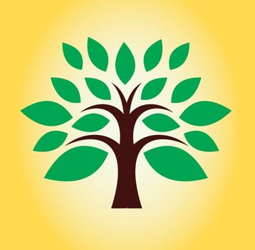 Tree Logo Design vector