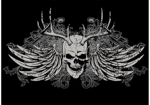 Skull T-shirt Vector Design