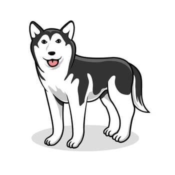 Siberian Husky Vector Dog 